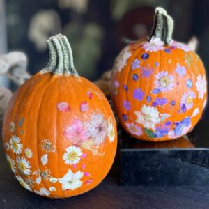 Kids - Decoupage Pumpkin Decorating Class 10/18/25