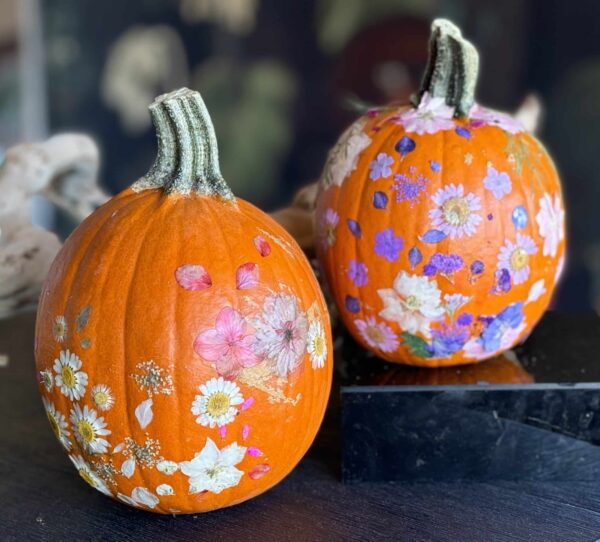 Kids - Decoupage Pumpkin Decorating Class 10/18/25