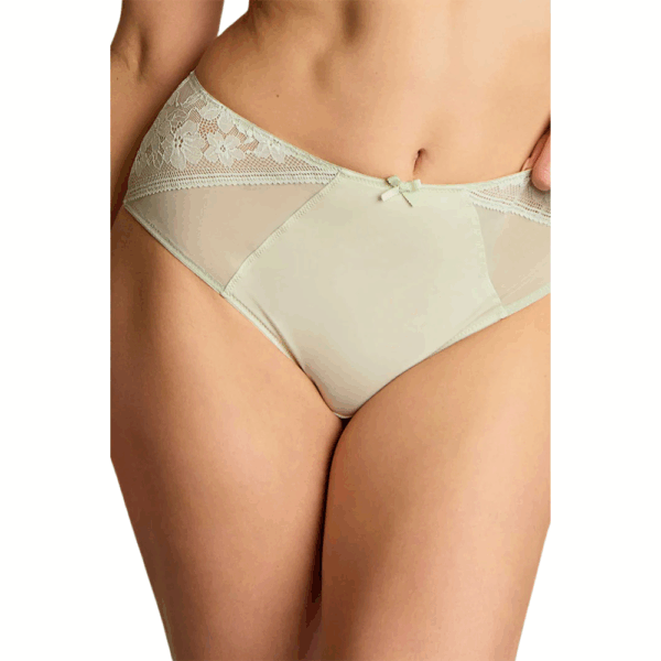 Panache Celeste Deep Brief 11404