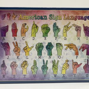 American Sign Language 500pc
