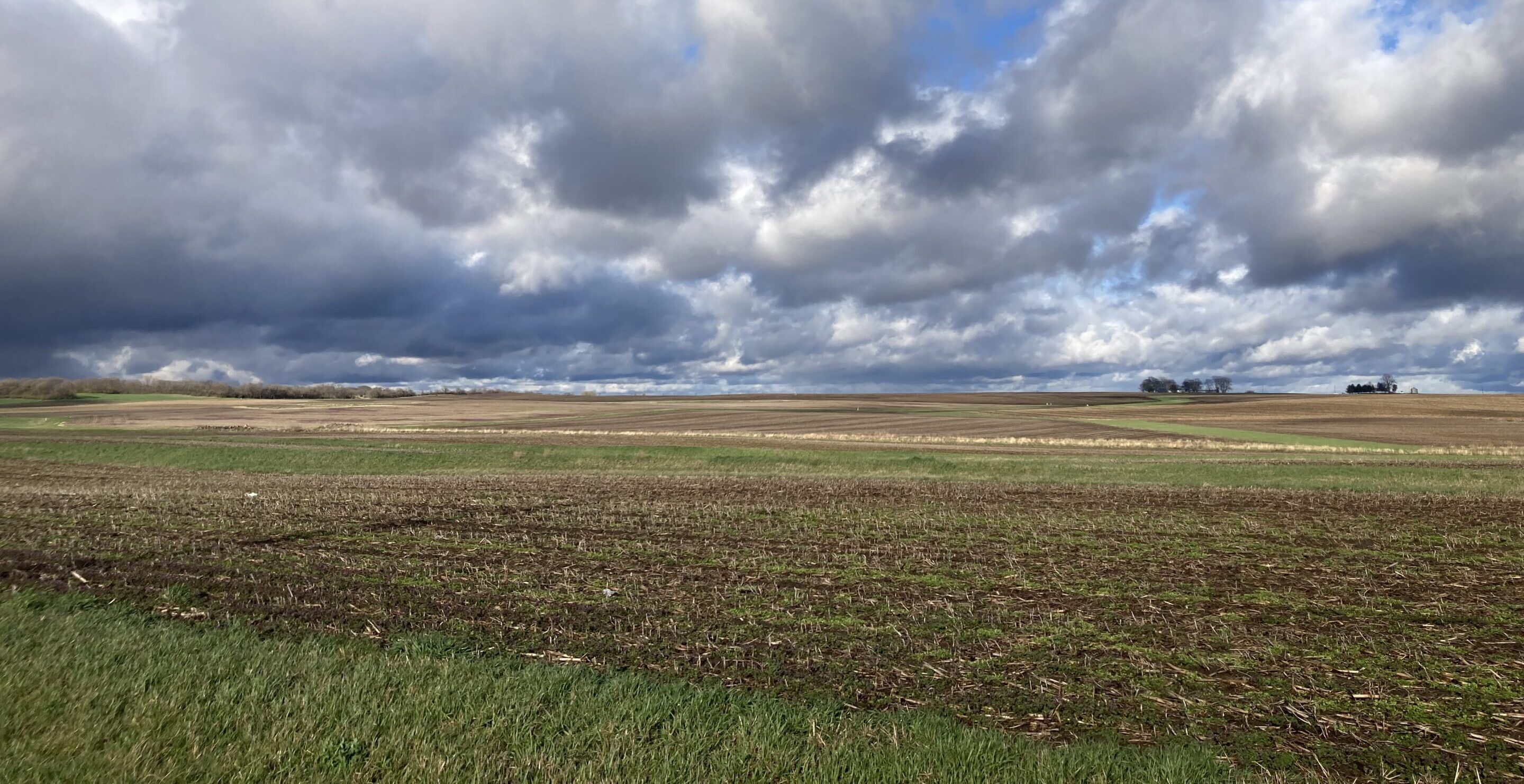 Central Illinois after a rain 2024
