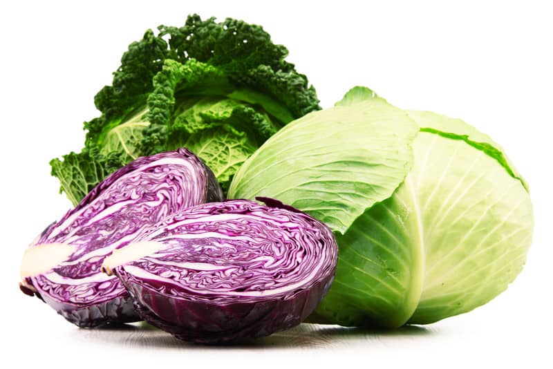 Cabbage and Its Slaws - The Land Connection