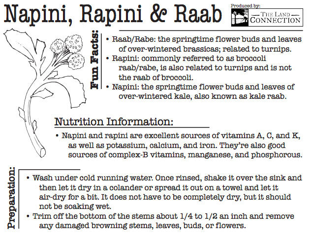 Napini Rapini, Napini, and Raab - The Land Connection