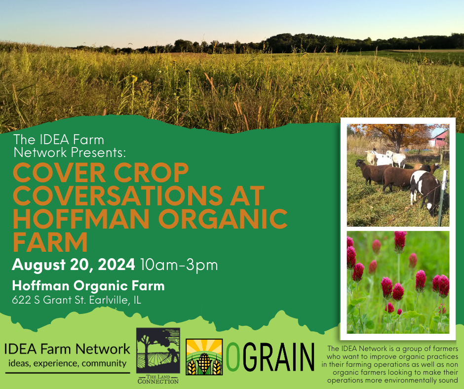 Farm Connection Cover Crop Conversations at Hoffman Organic Farm - The Land Connection