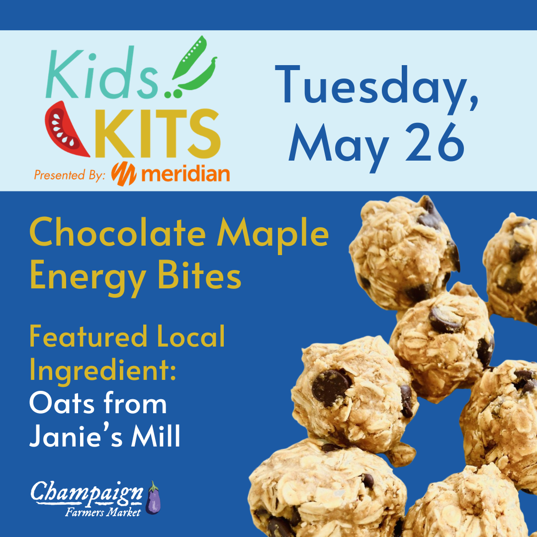 Kids Kits Chocolate Maple Energy Bites