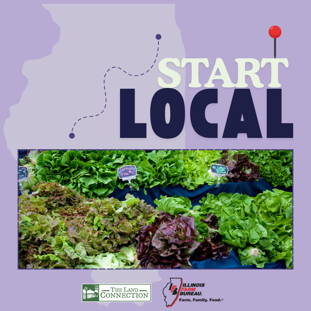 Start Local Lettuce-Wrapped Chicken Tacos Recipe Graphic