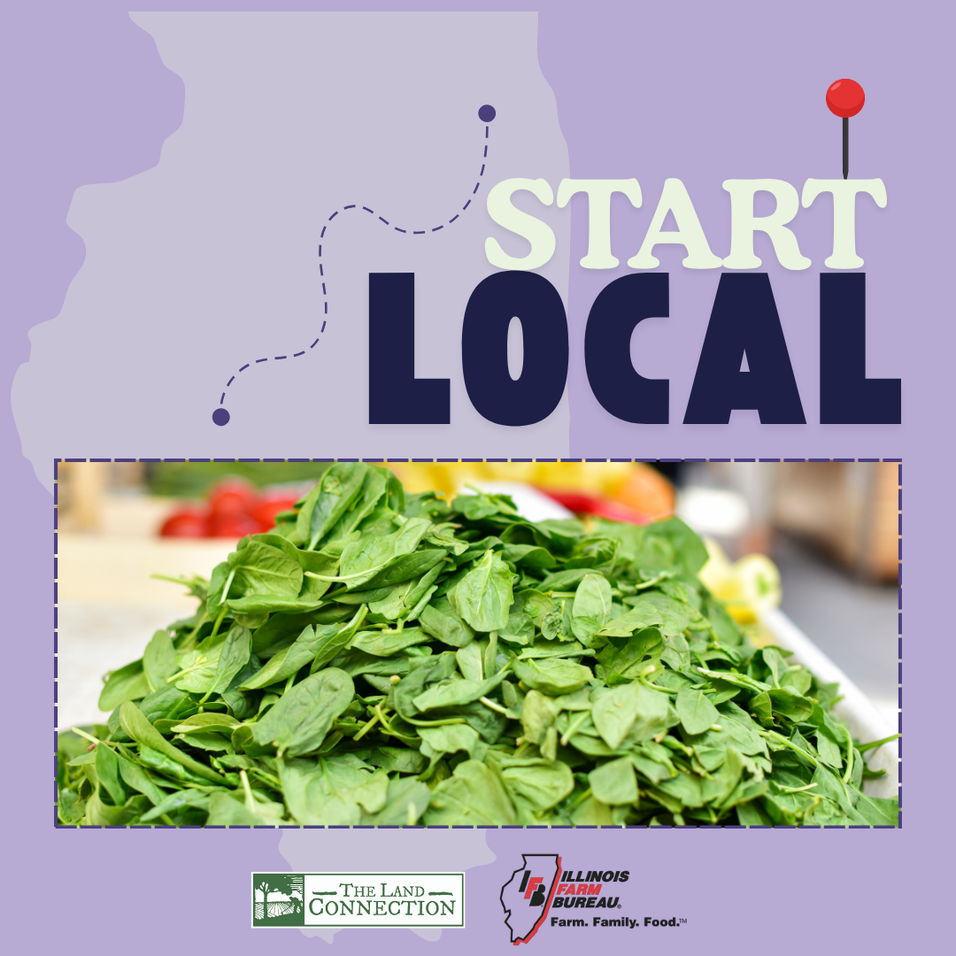 Start Local Focaccia Spinach Dip Recipe Graphic