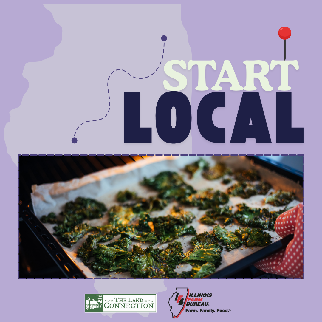 Start Local Crispy Kale Chips Recipe Graphic
