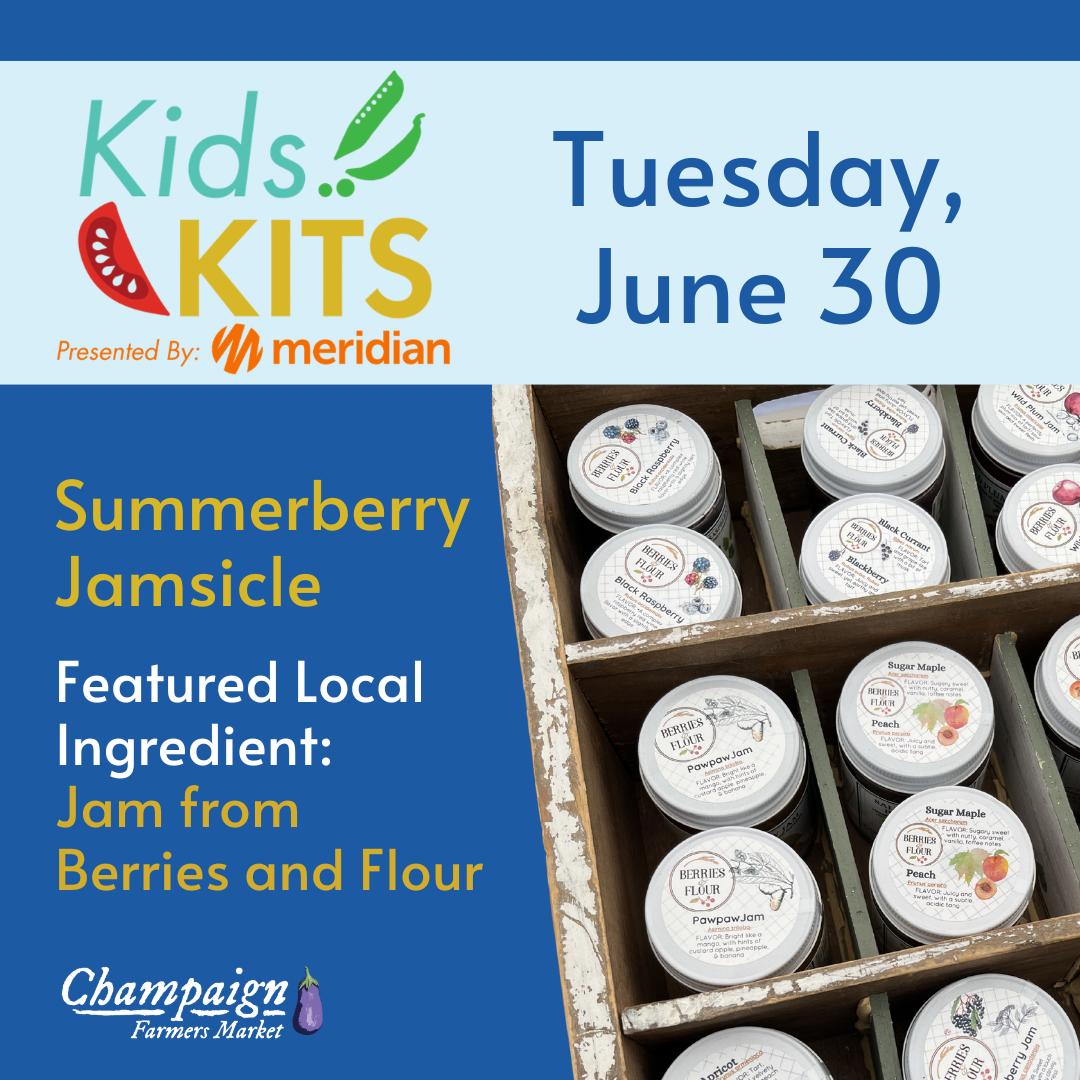 Kids Kits Summerberry Jamsicle