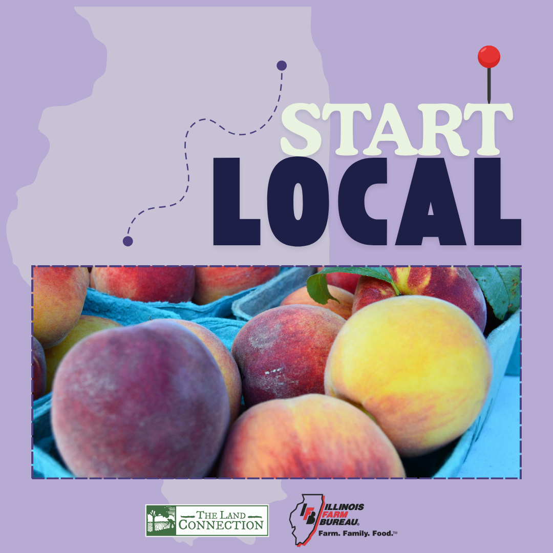 Start Local Basic Fruit Smoothie Recipe Graphic