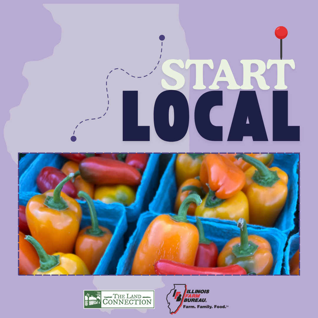 Start Local Make it Myself Pizza Recipe Graphic