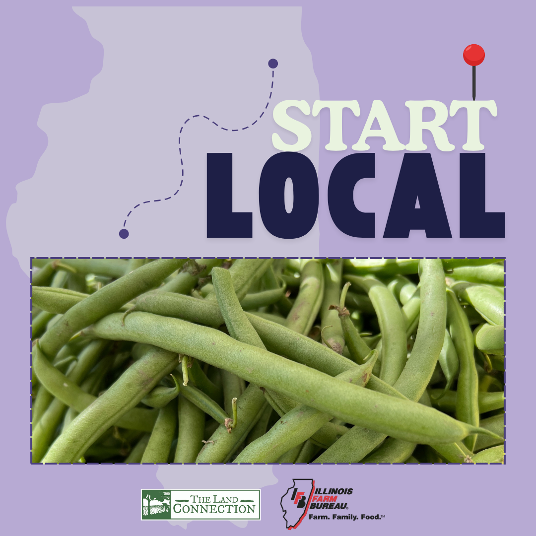 Start Local Simply Tasty Green Beans Recipe Graphic