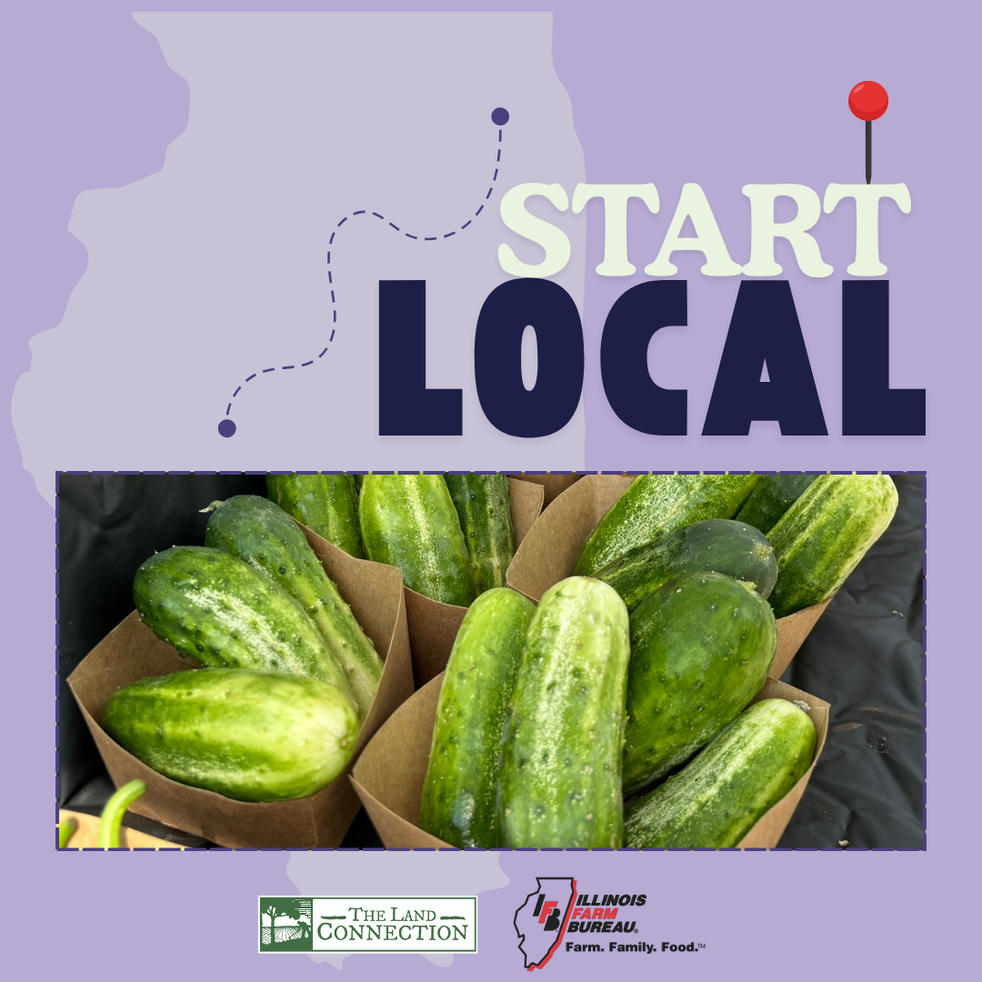 Start Local Summer Cucumber Salad Recipe Graphic