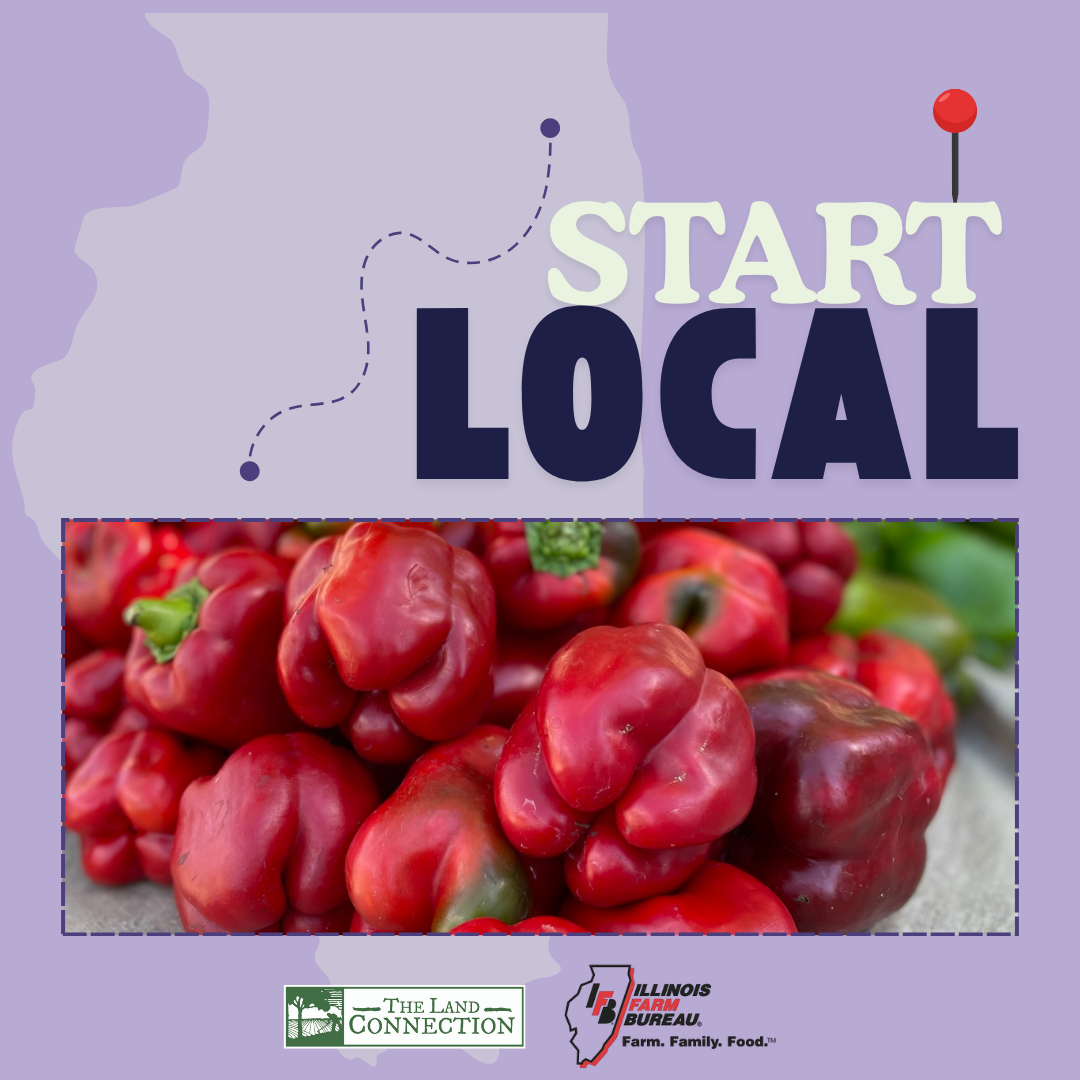 Start Local Colorful Ranch Vegetable Wraps Recipe Graphic