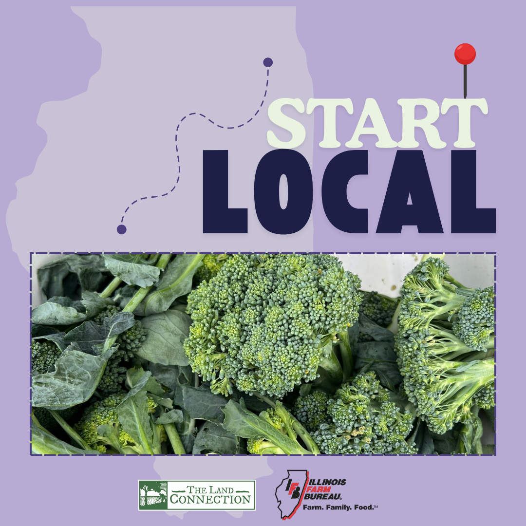 Start Local Summer Broccoli with Garlic Stir-Fry Recipe Graphic