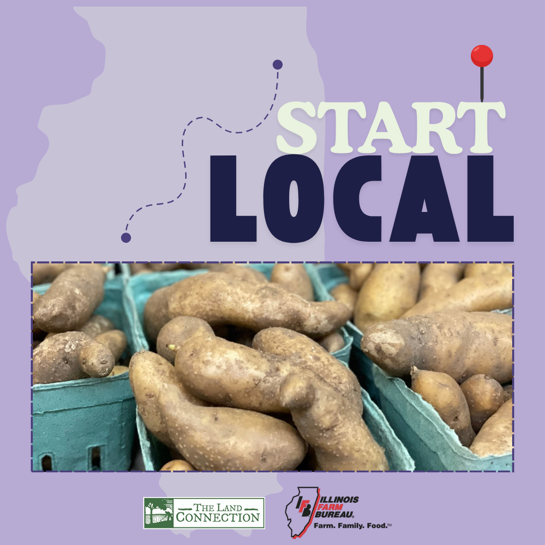 Start Local Broccoli Stuffed Potatoes Recipe Graphic