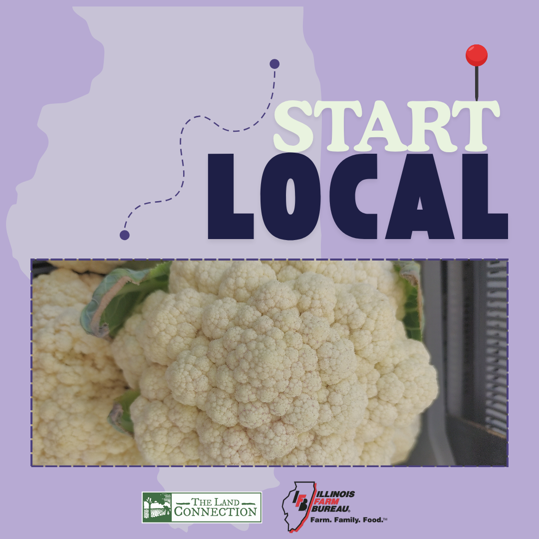Start Local Roasted Cauliflower Steaks Recipe Graphic